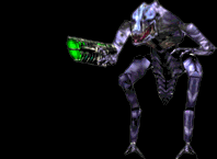 alianshoots.gif (10801 bytes)