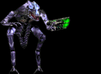 alianshoots2.gif (7240 bytes)